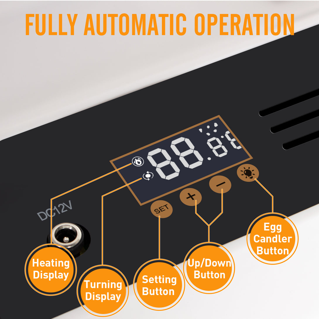 Automatic Egg Incubator