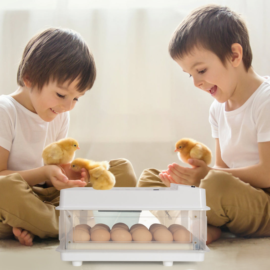 Automatic Egg Incubator