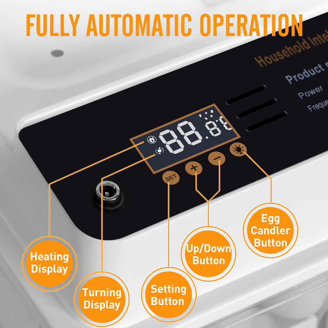 Automatic Egg Incubator