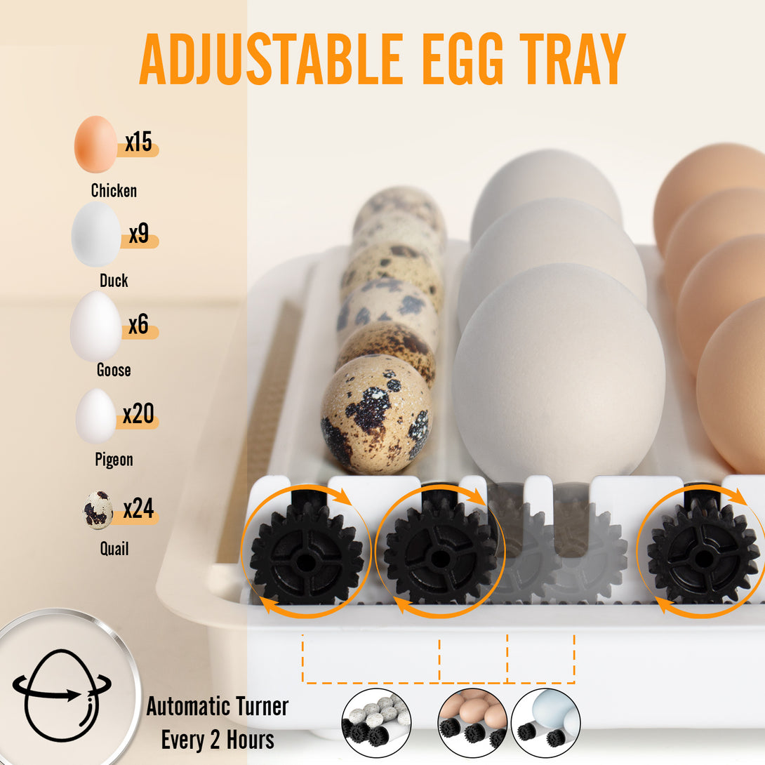 Automatic Egg Incubator