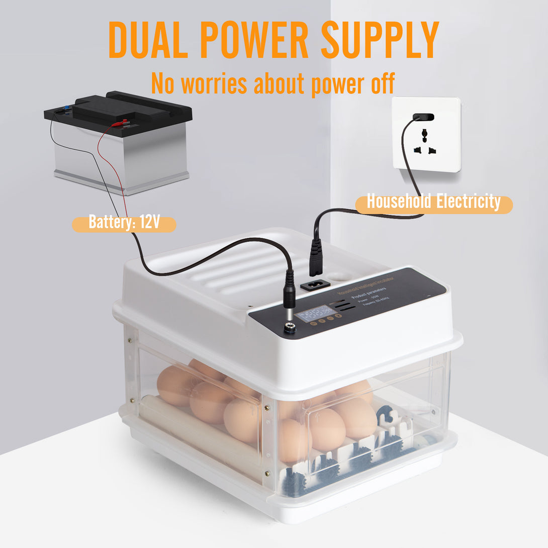 Automatic Egg Incubator