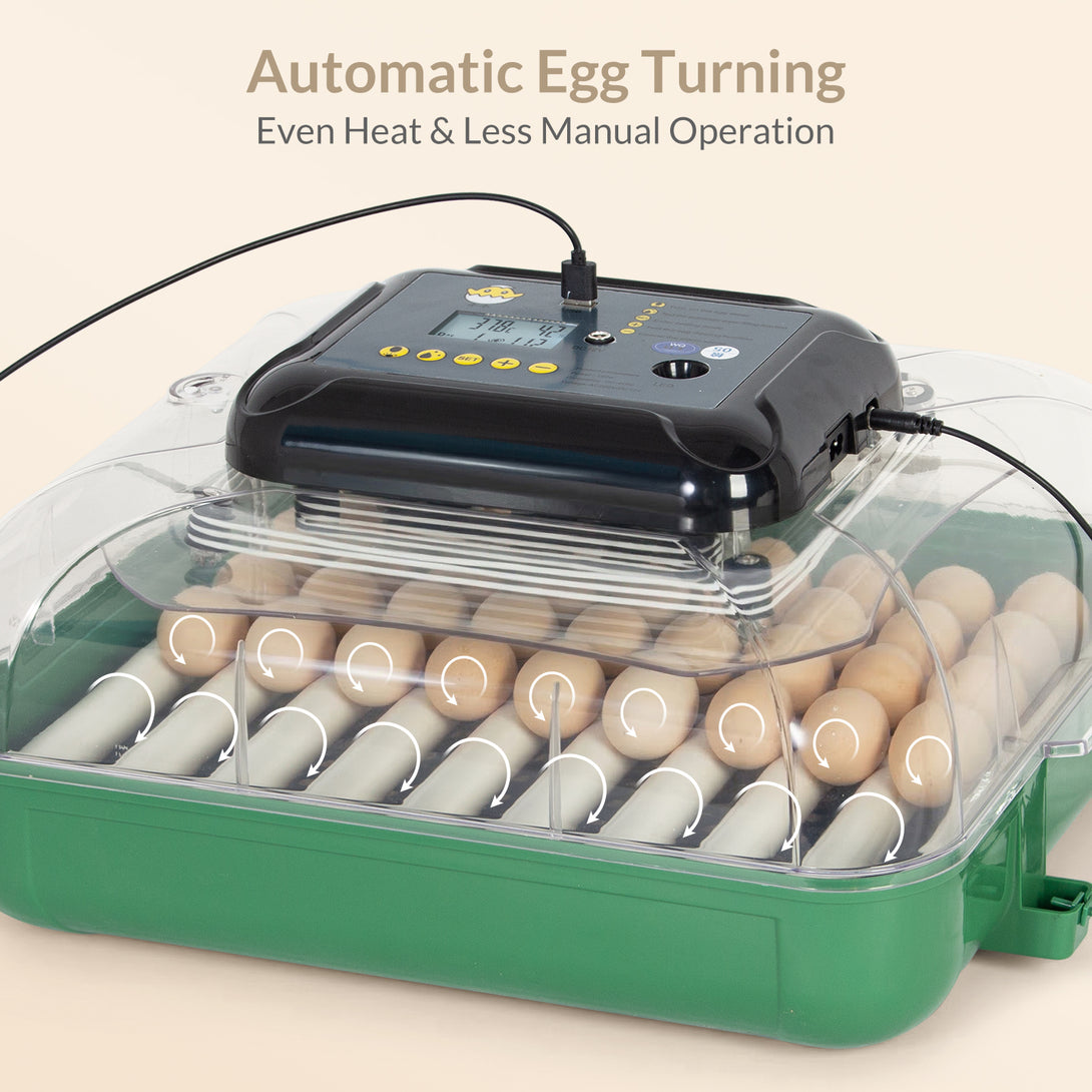 Todeco Brutautomat Für 48 Eier – Vollautomatisch Mit Eierwender, Temperatur- Und Feuchtigkeitsregelung, LED-Kerzenleuchter, 12V/220V