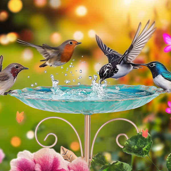 Bain d'Oiseaux Autoportant