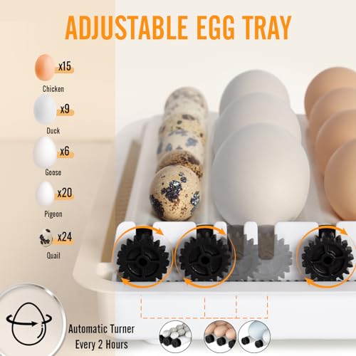 Todeco-Automatic-Egg-Incubator-15-Eggs-Automatic-Egg-Turning-Temperature-Control-Automatic-Humidification-Dual-Power-Supply-Automatic-Egg-Incubator-with-Egg-Lamp