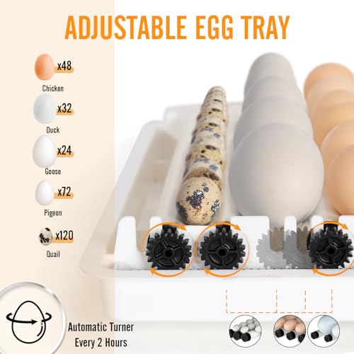 Todeco-Automatic-Egg-Incubator-48-Eggs-Automatic-Egg-Turning-Temperature-Control-Automatic-Humidification-Dual-Power-Supply-Automatic-Egg-Incubator-with-Egg-Lamp