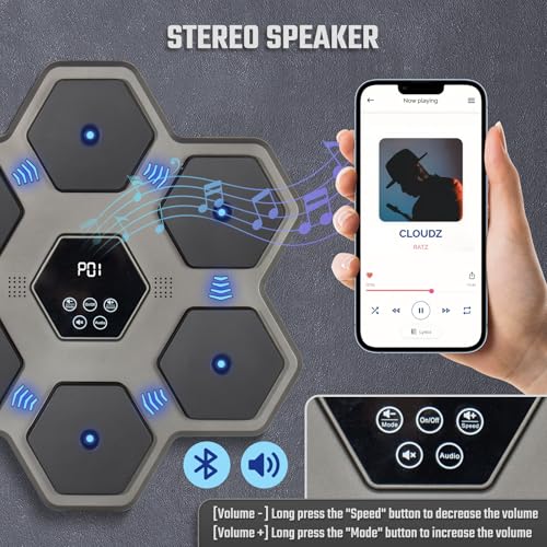Todeco Musical Boxing Machine for Adults and Children with Gloves, 9 Speed Modes Wall Mounted Boxing Target Music with Automatic Counting, LED Musical Boxing Machine, Bluetooth Music Boxing Machine, type 2