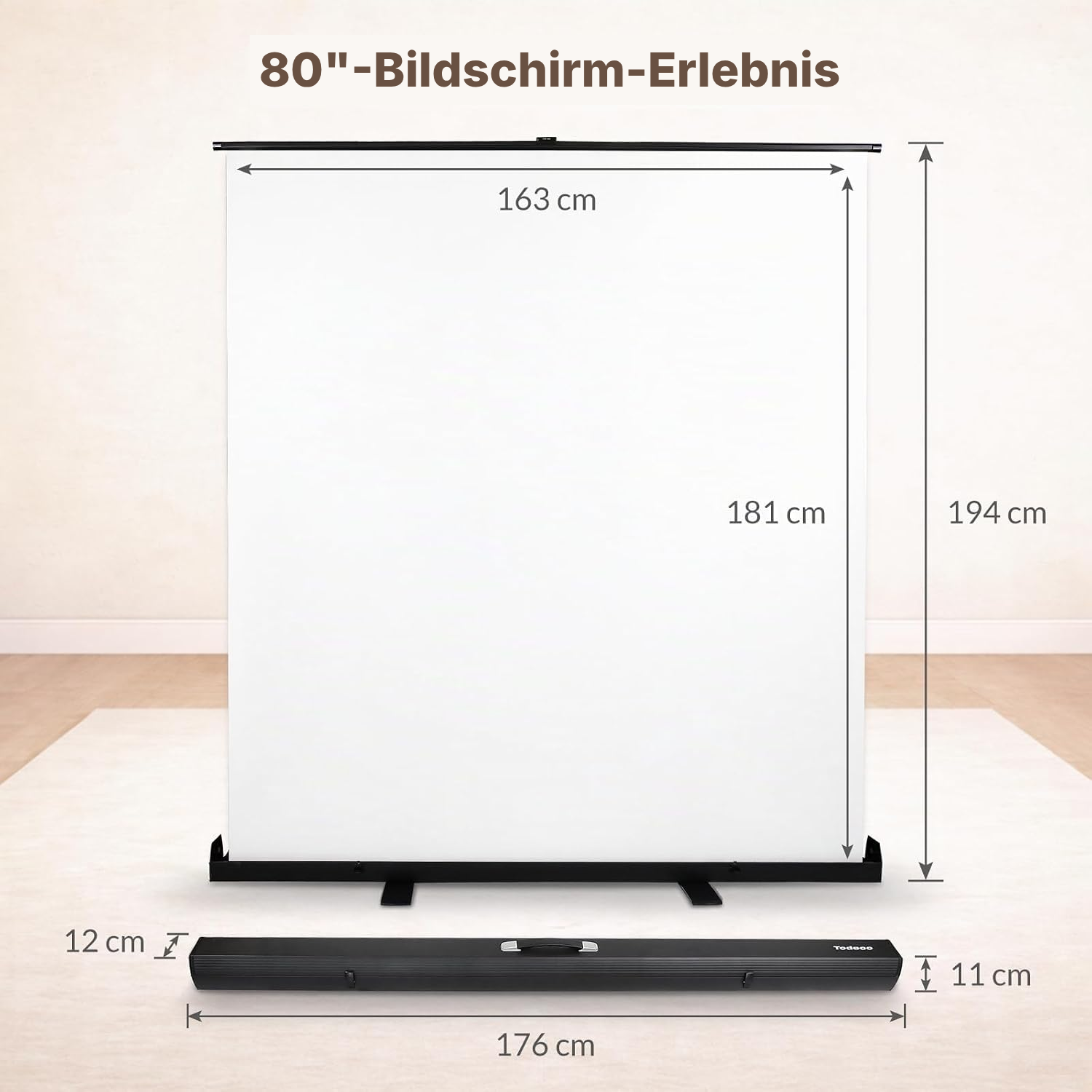 Beamer Leinwand mit Stativ – stabile Projektion — 2