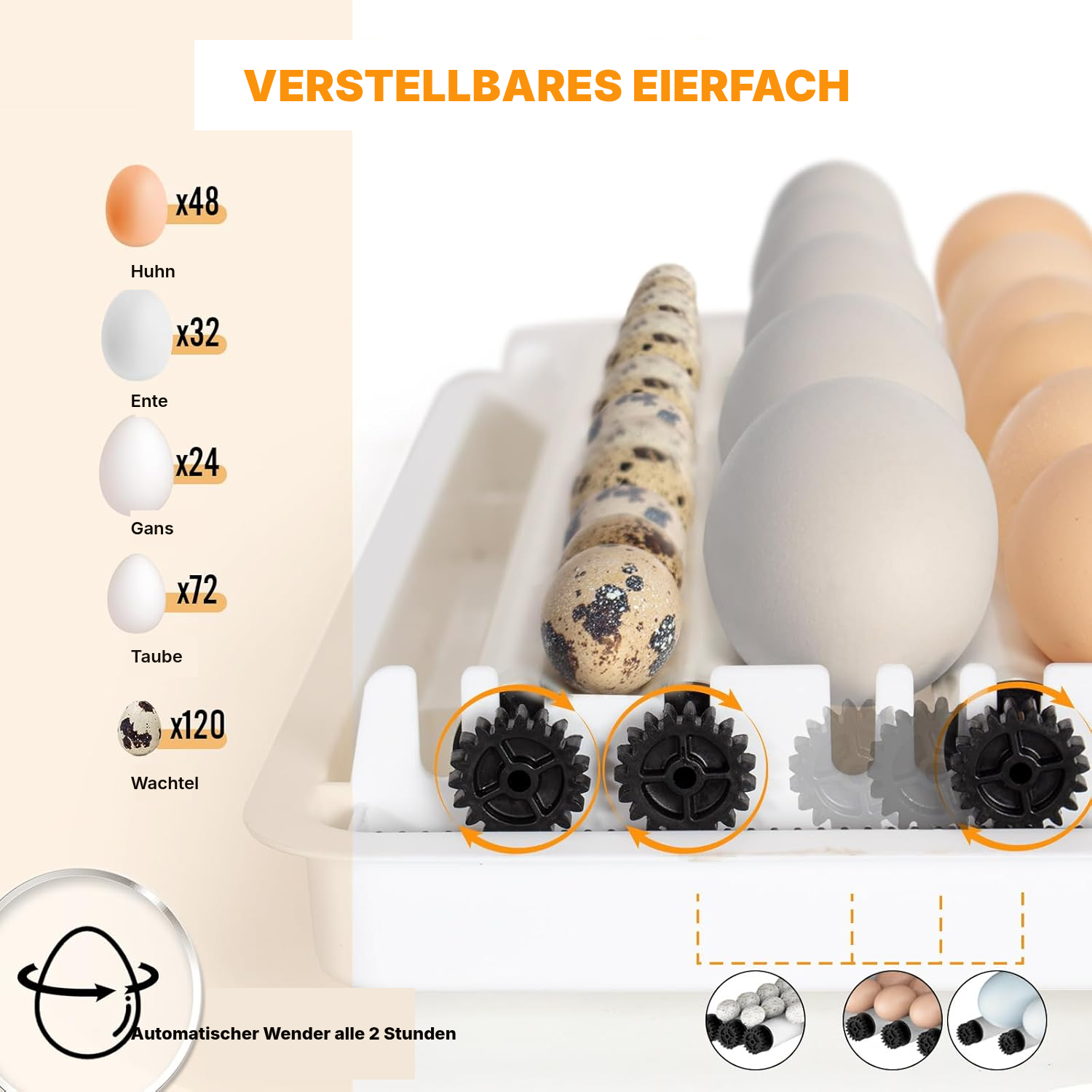 Brutautomat vollautomatisch – 48 Eier, 40 cm — 3