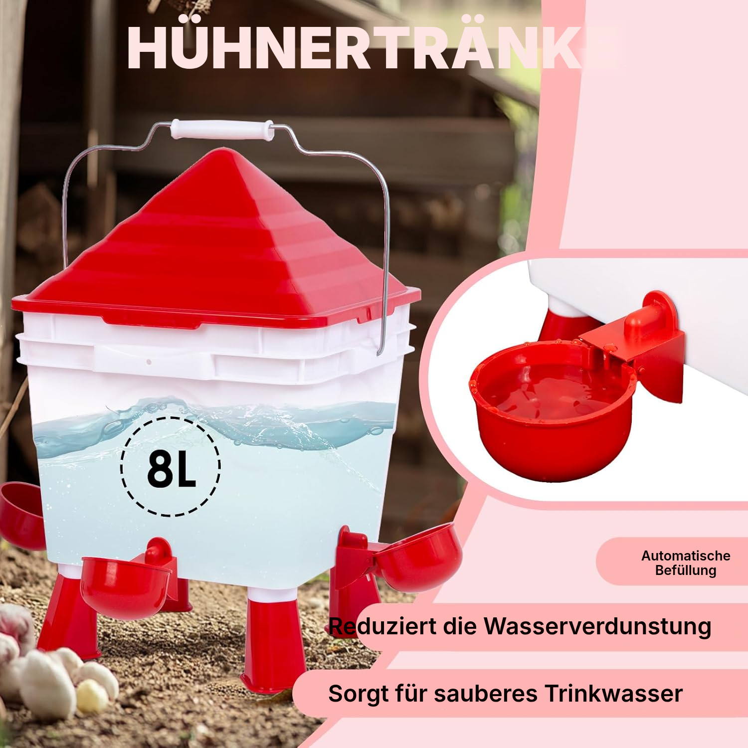 Hühnertränke mit Futterautomat – Modell 1 — 3