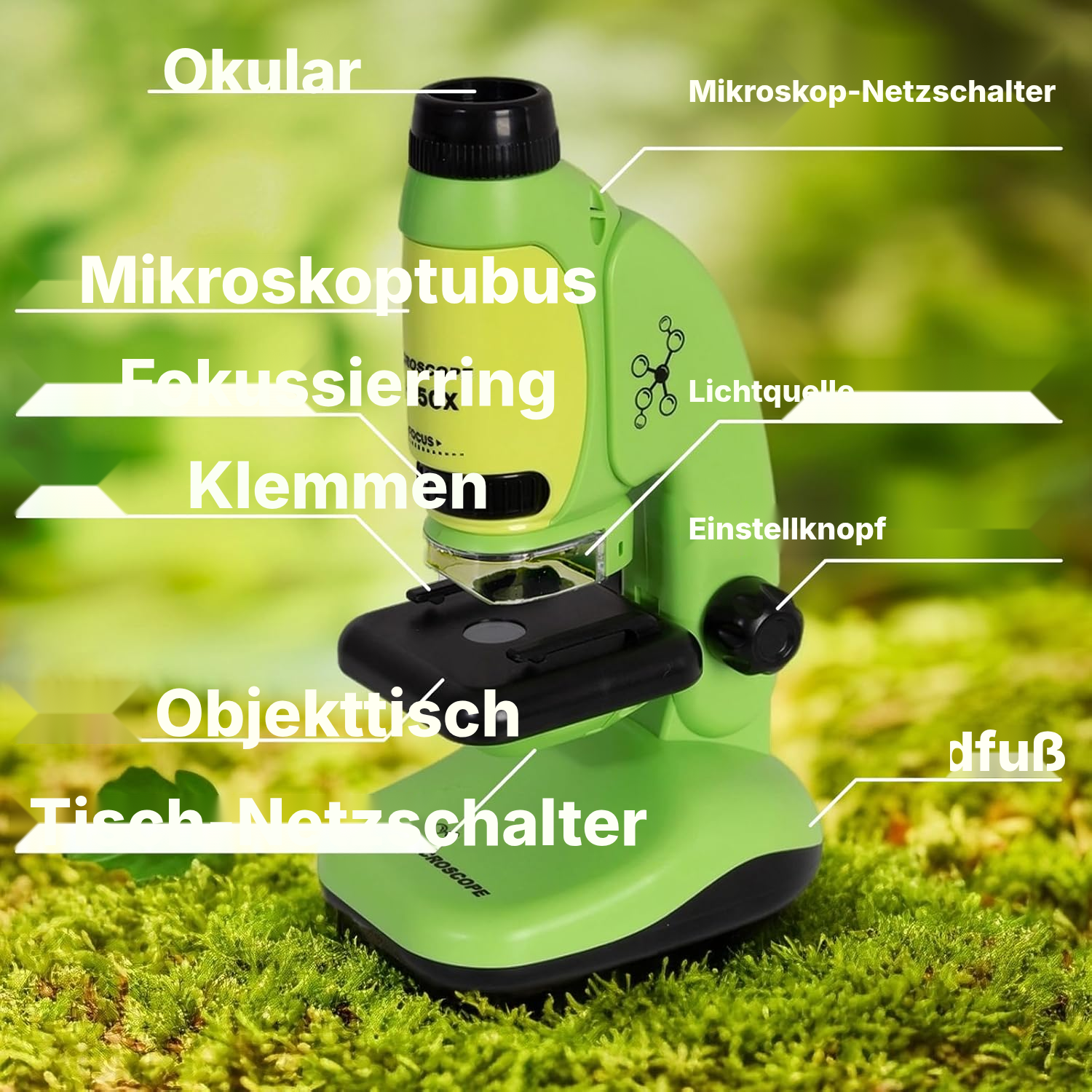 Mikroskop Schüler: 50–250x, kompakt 23 cm — 3