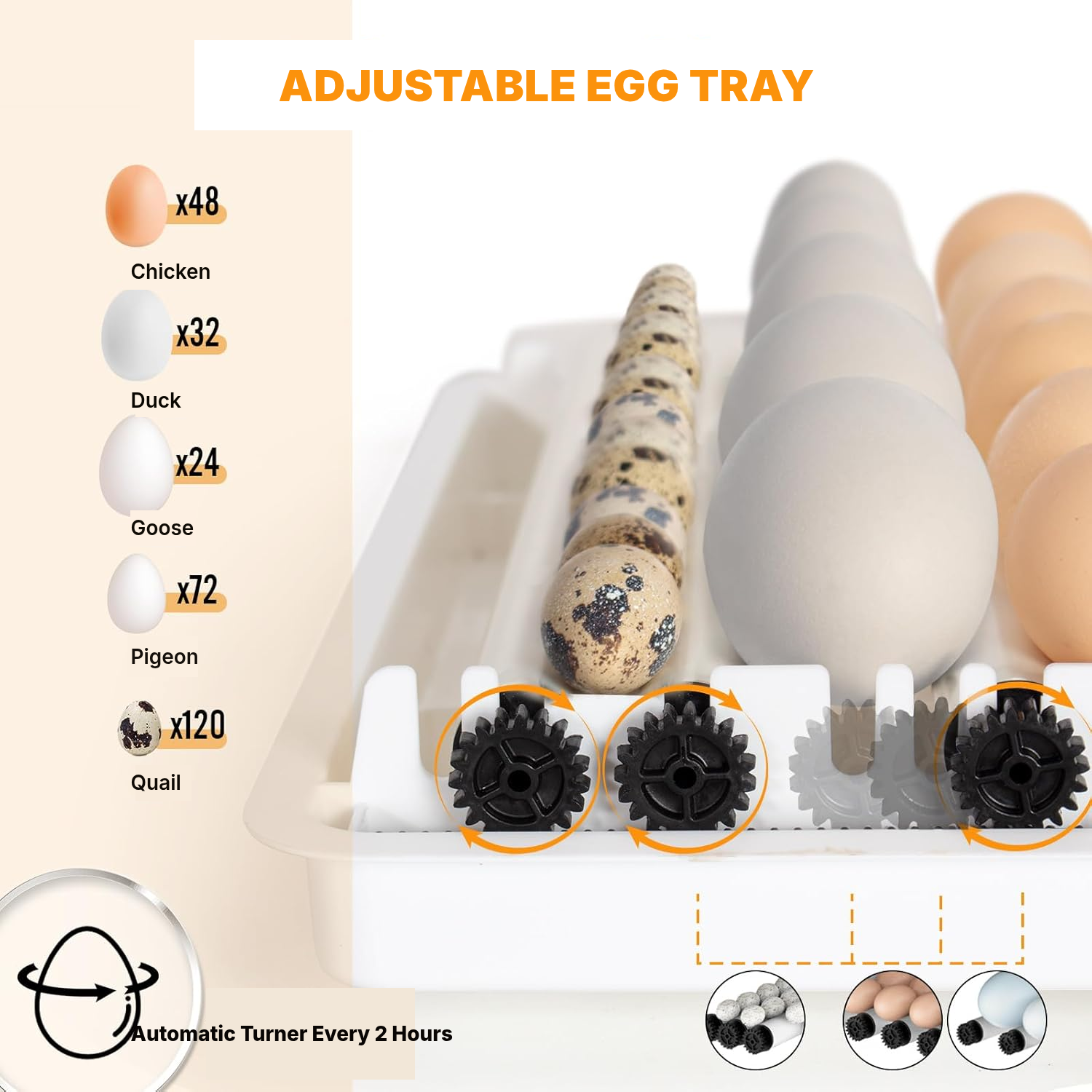 48-Egg Automatic Egg Incubator, 40 cm — 3