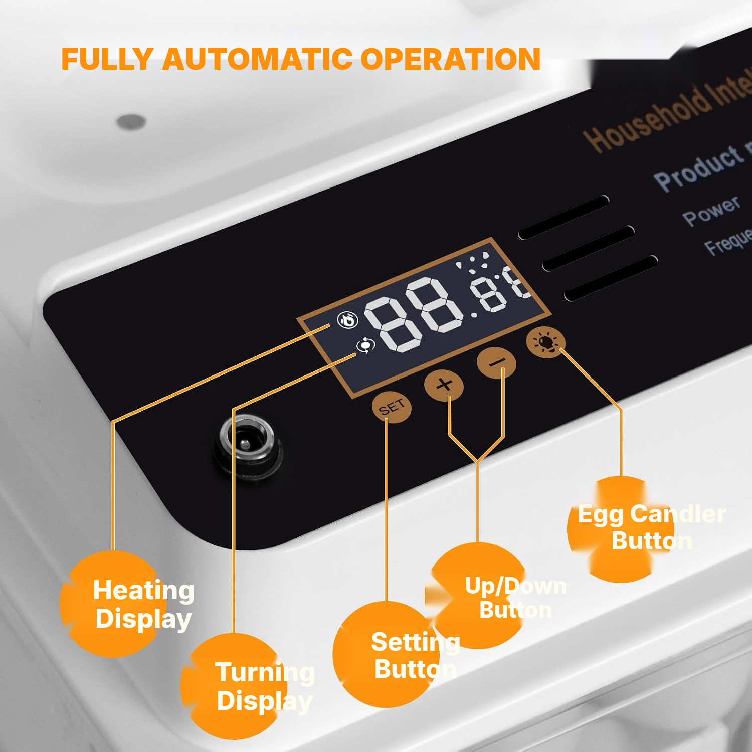 Eggs for Incubator: Automatic 15-Egg Mini LED — 2
