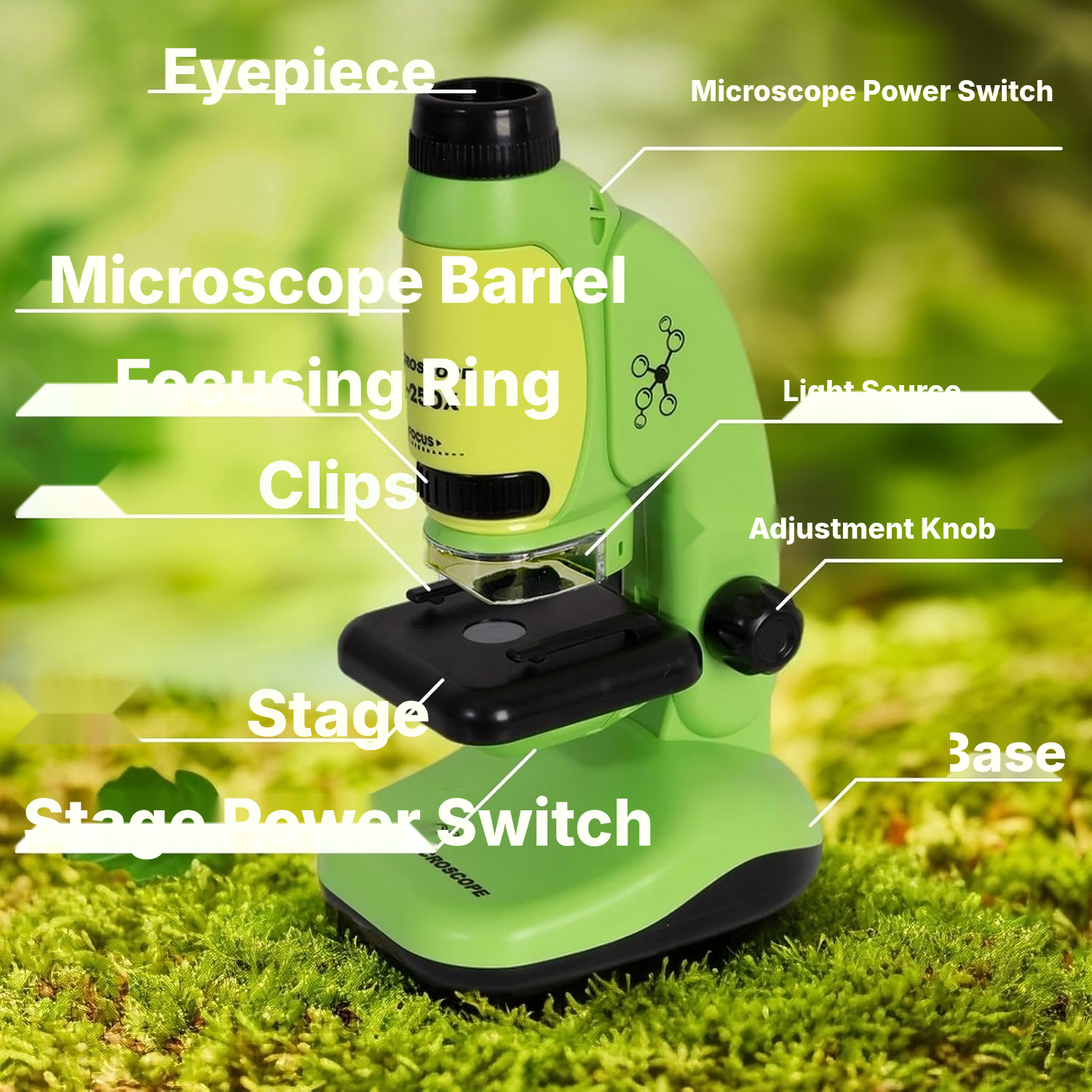 Microscope for Kindergarteners 50–250x — 3