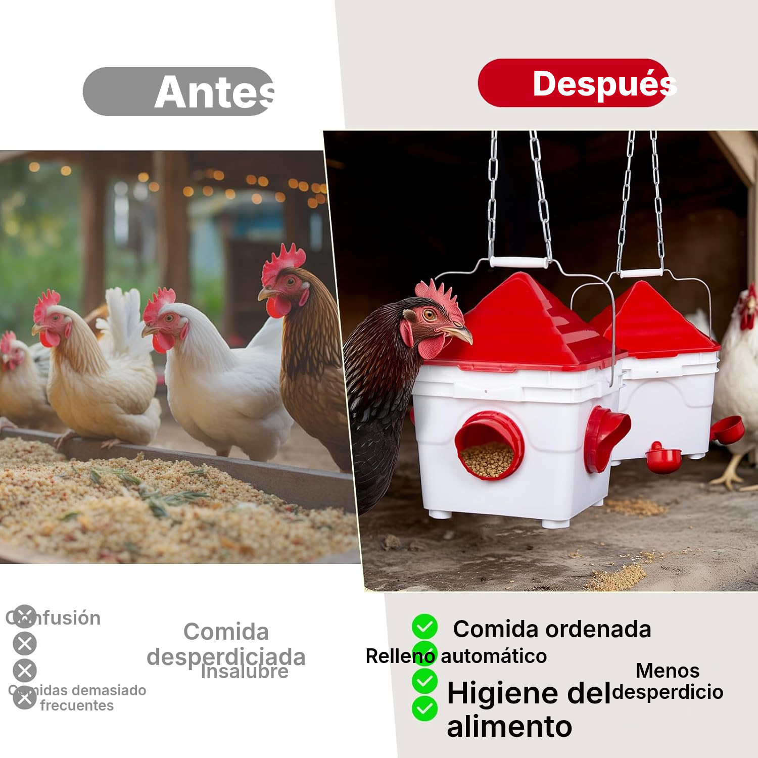 Bebederos para gallinas: comedero de 6 kg — 2