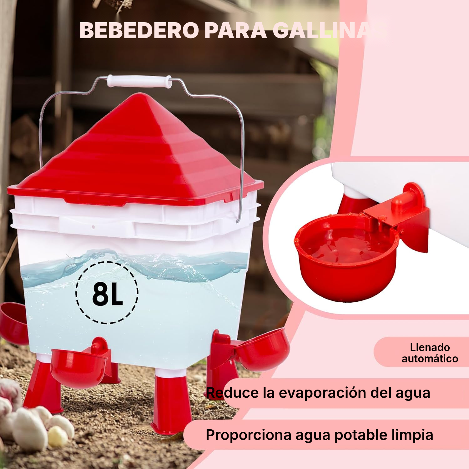 Bebederos para gallinas: comedero de 6 kg — 3