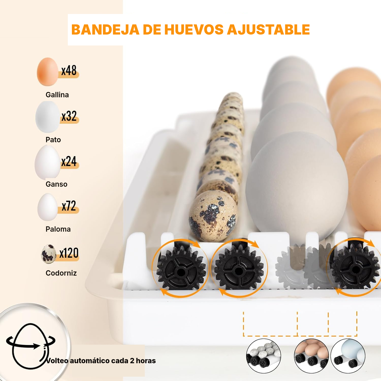 Incubadora huevos automática, 48 huevos — 3