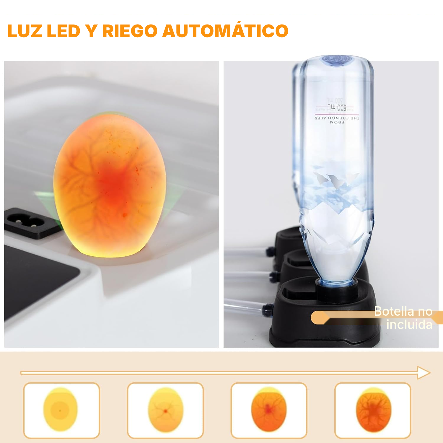 Incubadora huevos automática, 48 huevos — 4