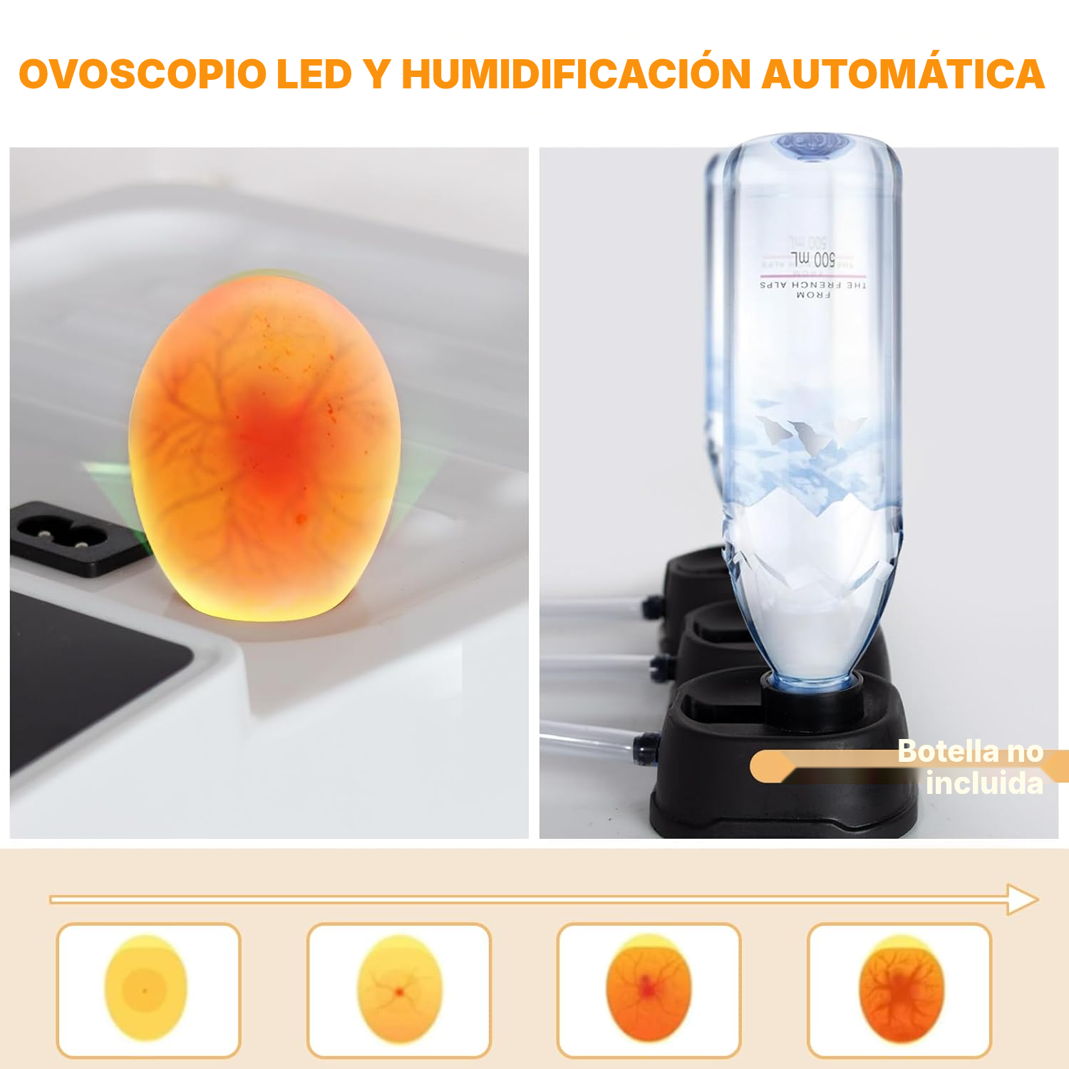 Incubadora automática 15 huevos mini 31 cm LED — 4