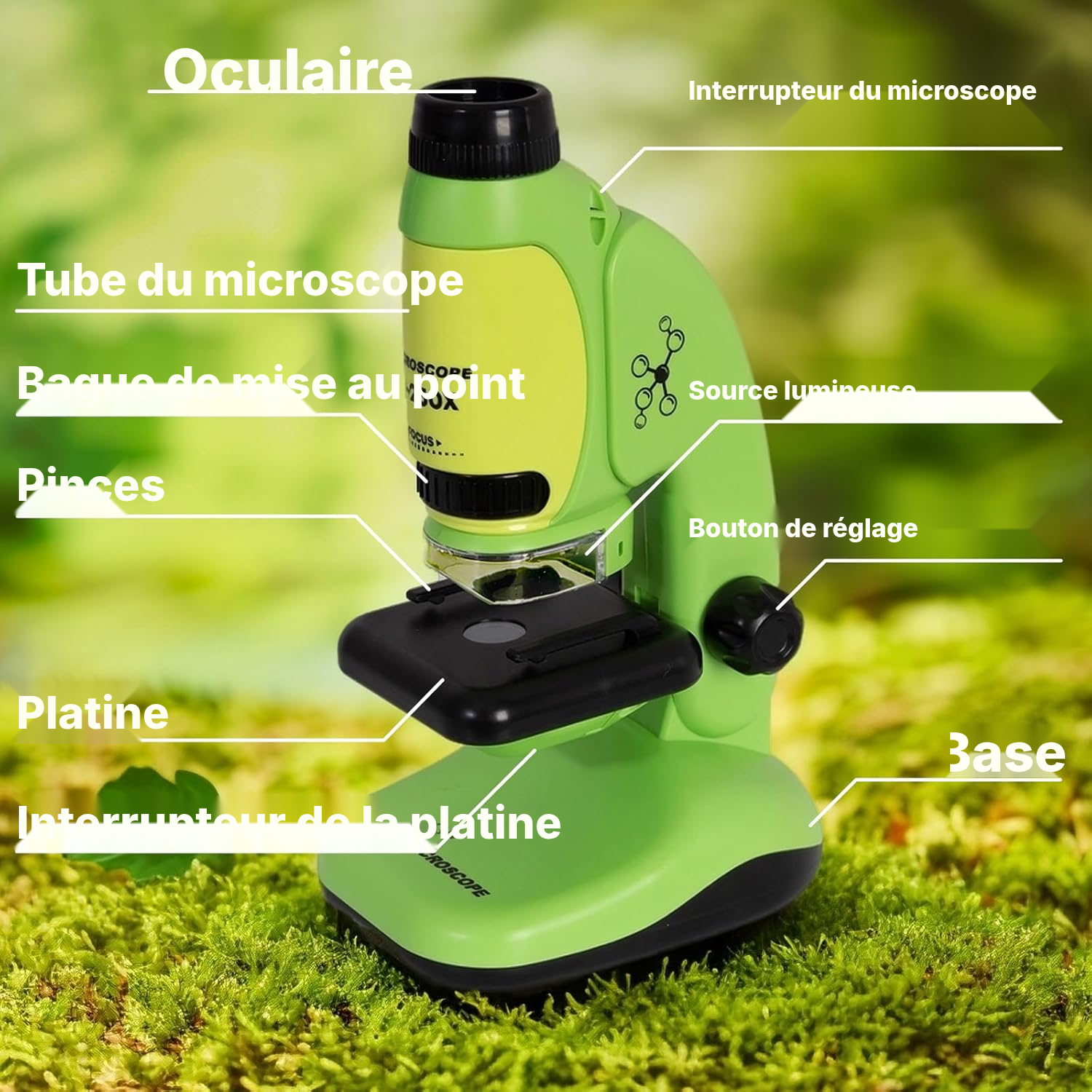Microscope enfant 50-250x compact 23 cm — 3