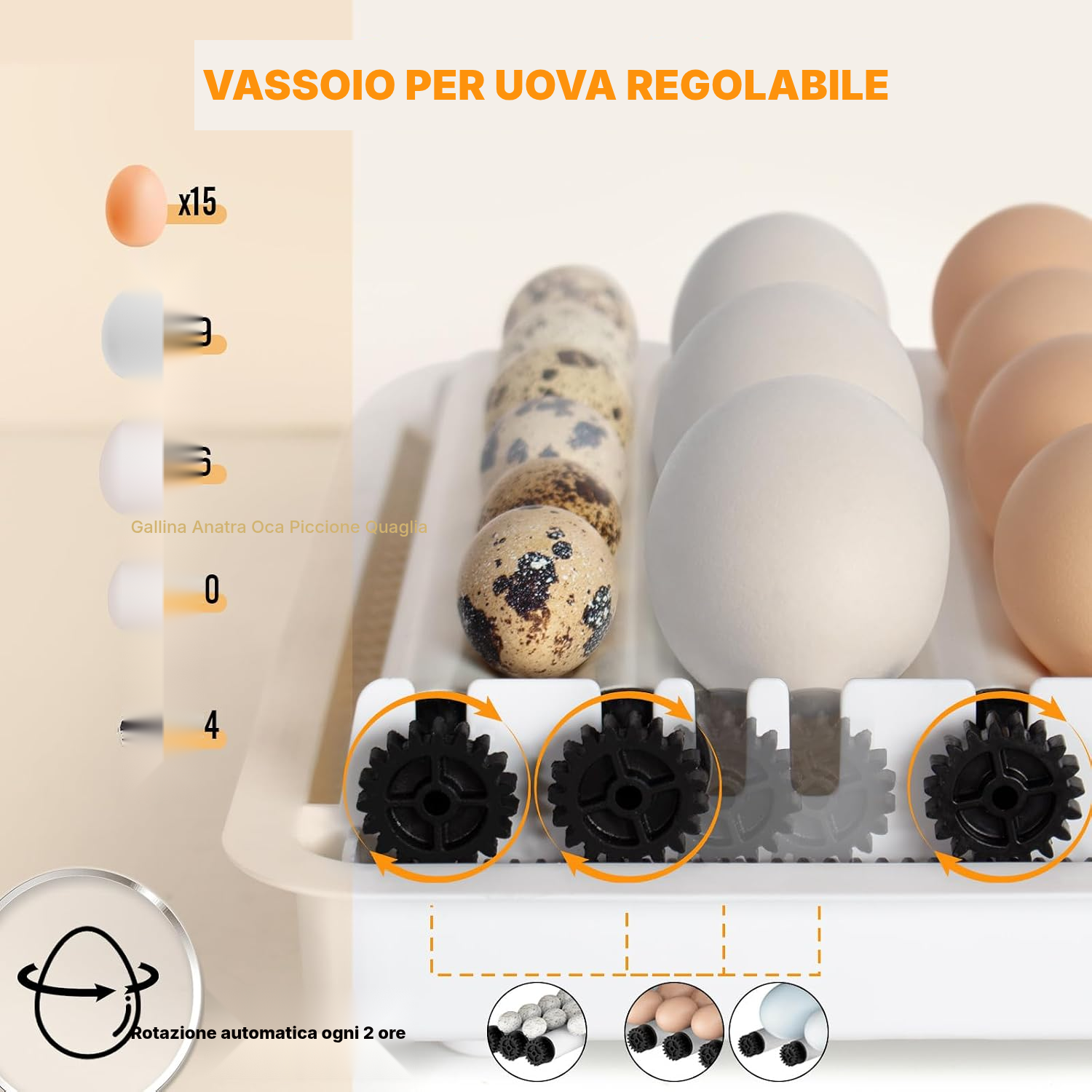 Incubatrice per uova automatica 15 mini 31 cm LED — 3