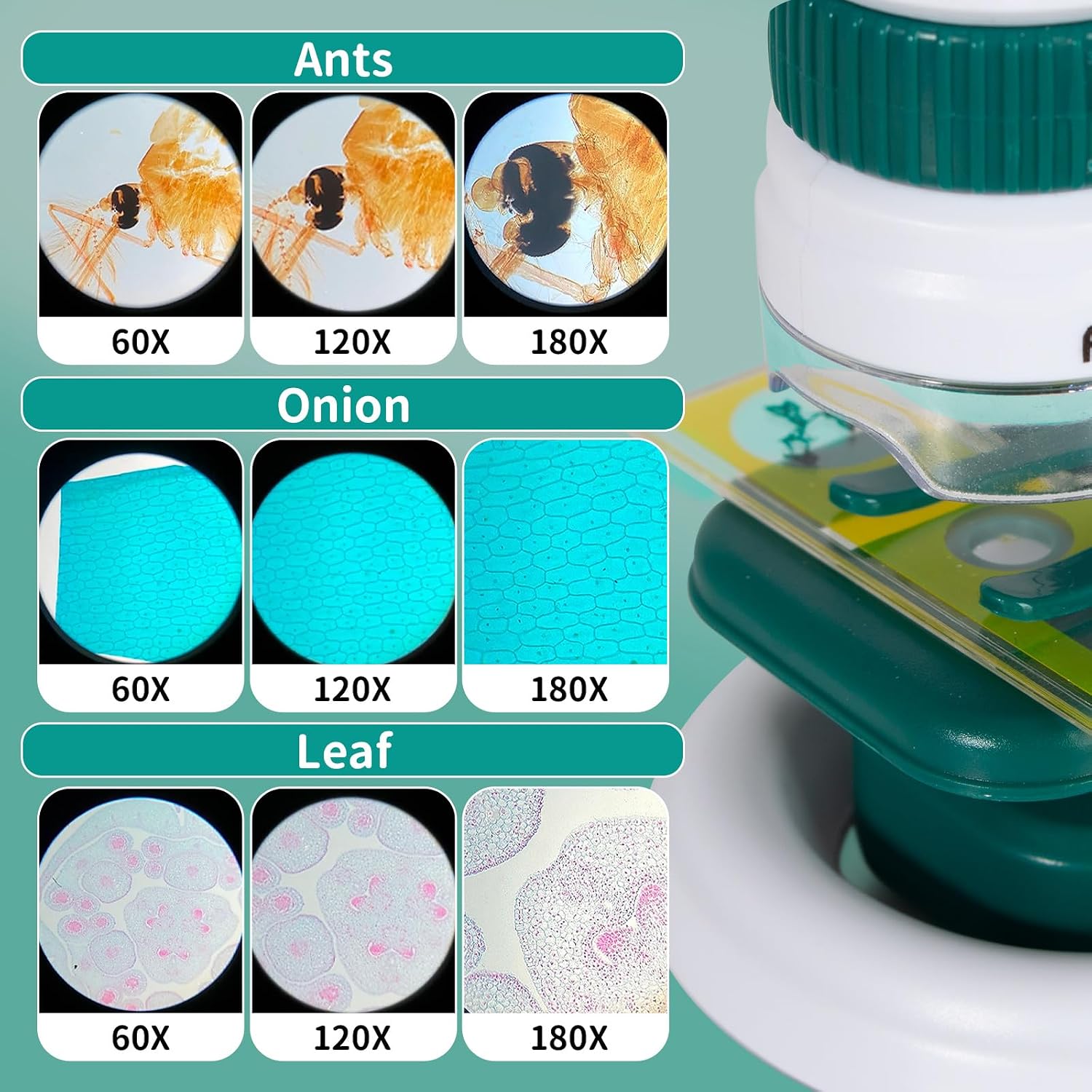 Microscopio infantil educativo 60x a 180x — 4
